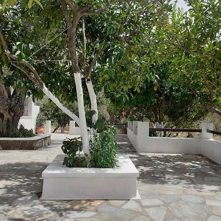 Villa Tillia Panormos  المظهر الخارجي الصورة