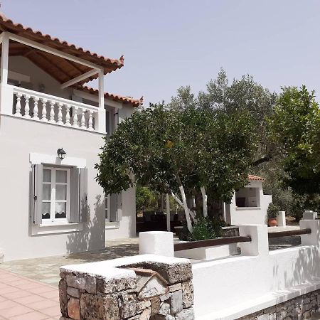 Villa Tillia Panormos  المظهر الخارجي الصورة