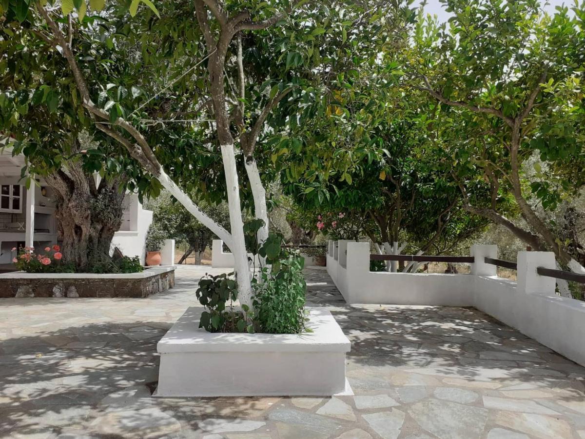 Villa Tillia Panormos  المظهر الخارجي الصورة