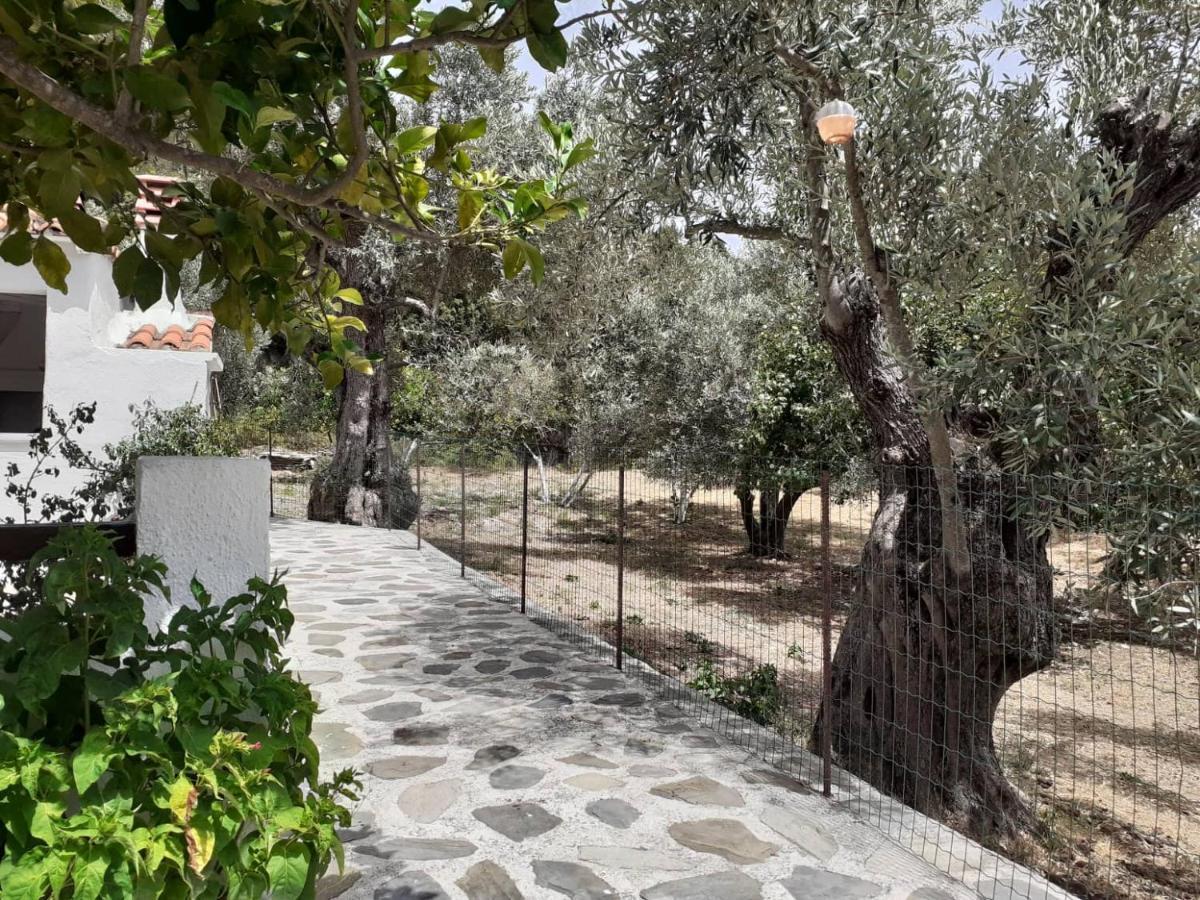 Villa Tillia Panormos  المظهر الخارجي الصورة