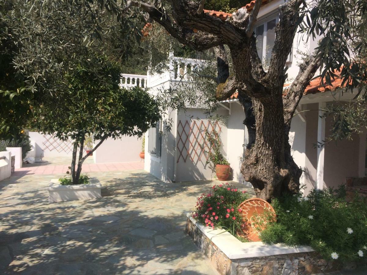 Villa Tillia Panormos  المظهر الخارجي الصورة
