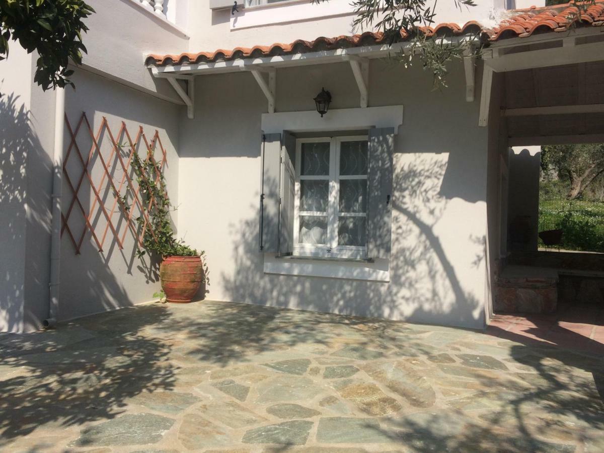 Villa Tillia Panormos  المظهر الخارجي الصورة
